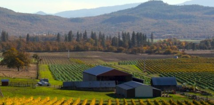 Cliff Creek Cellars