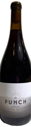 2023 Pinot Noir - Covertino Vineyard
