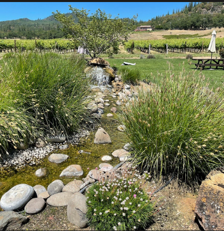 Cliff Creek Cellars