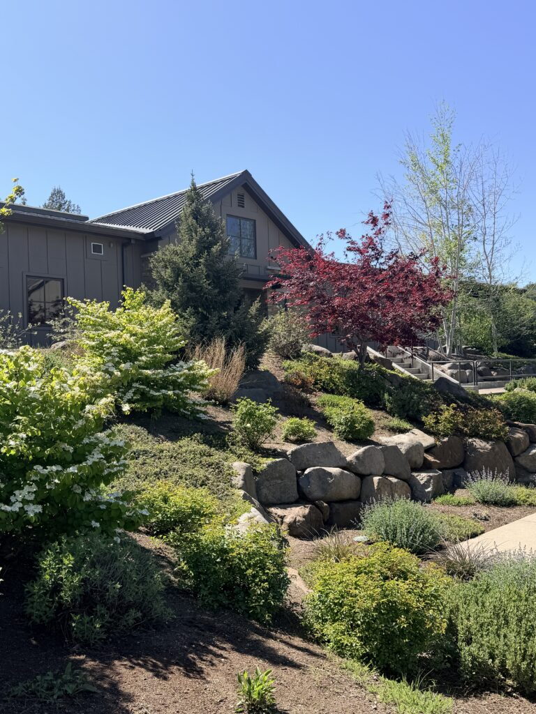 Irvine & Roberts Vineyards