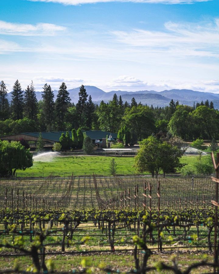 Bayer Family Estate