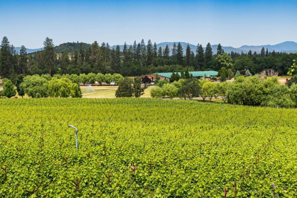 Bayer Family Estate
