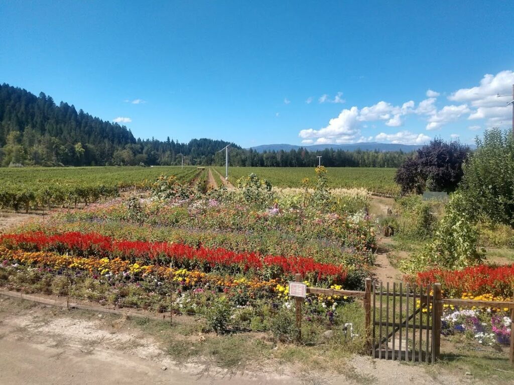 Foris Vineyards