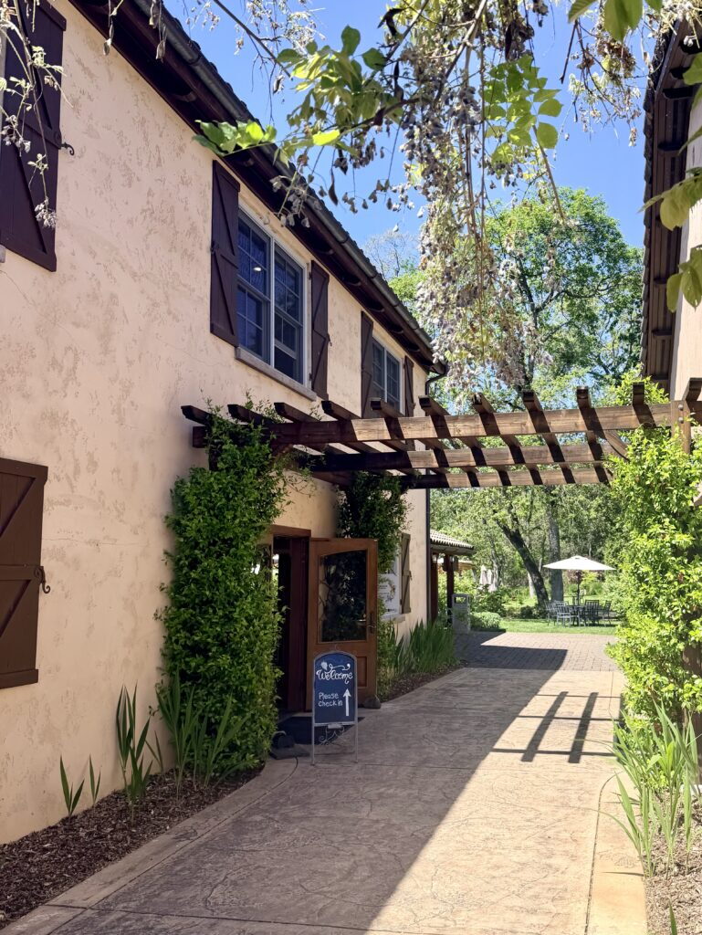 Troon Vineyard