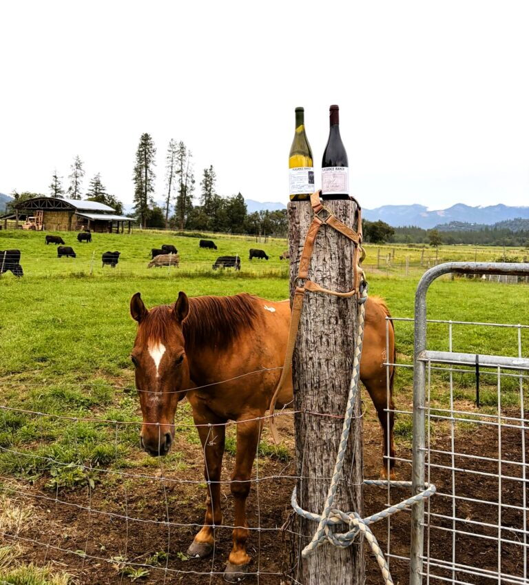 Plaisance Ranch
