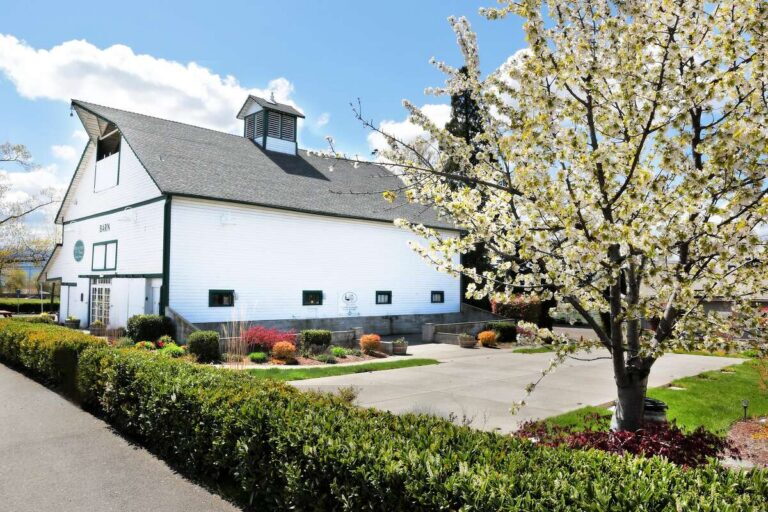 RoxyAnn Winery barn in spring with blossoming tree