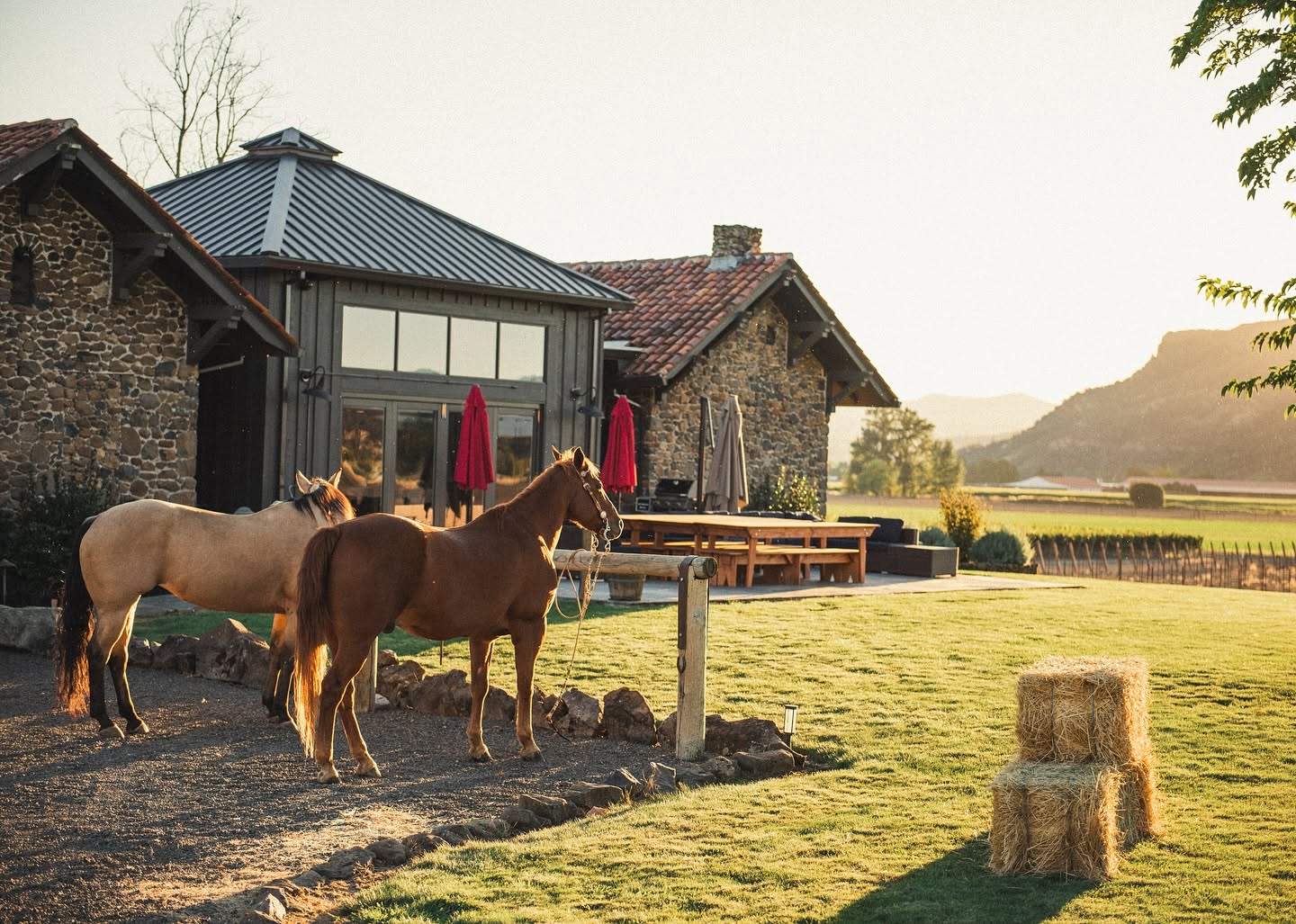 Table Rock Ranch & Vineyard