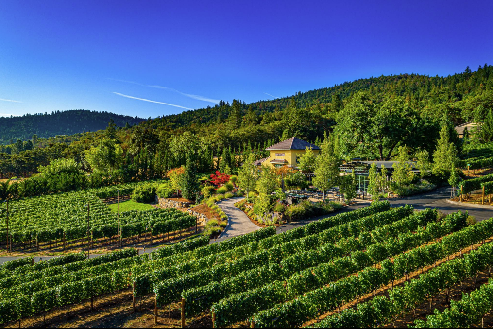 DANCIN Vineyards