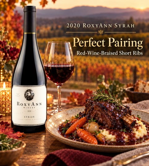 Red-Wine-Braised Short Ribs — Food Pairing