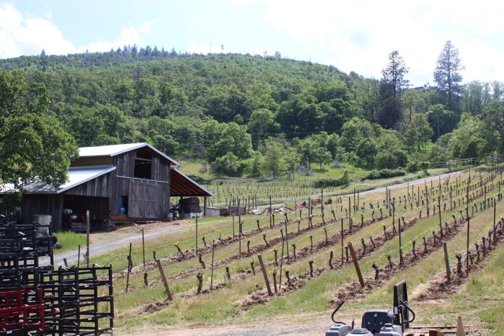 Weisinger Family Winery