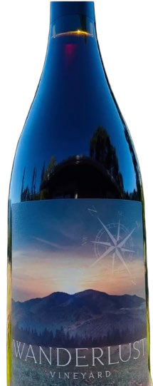 2020 Syrah