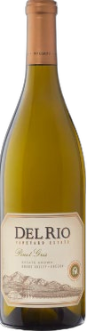 2024 Pinot Gris