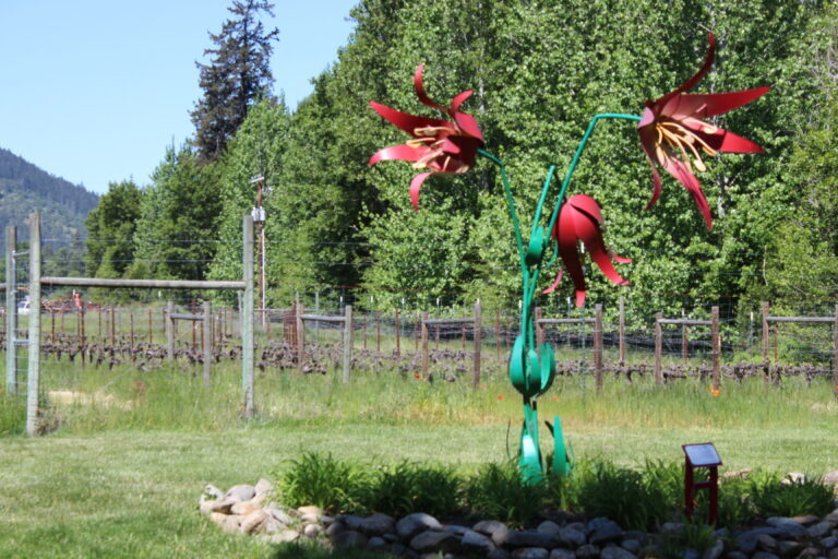 Red Lily Vineyards
