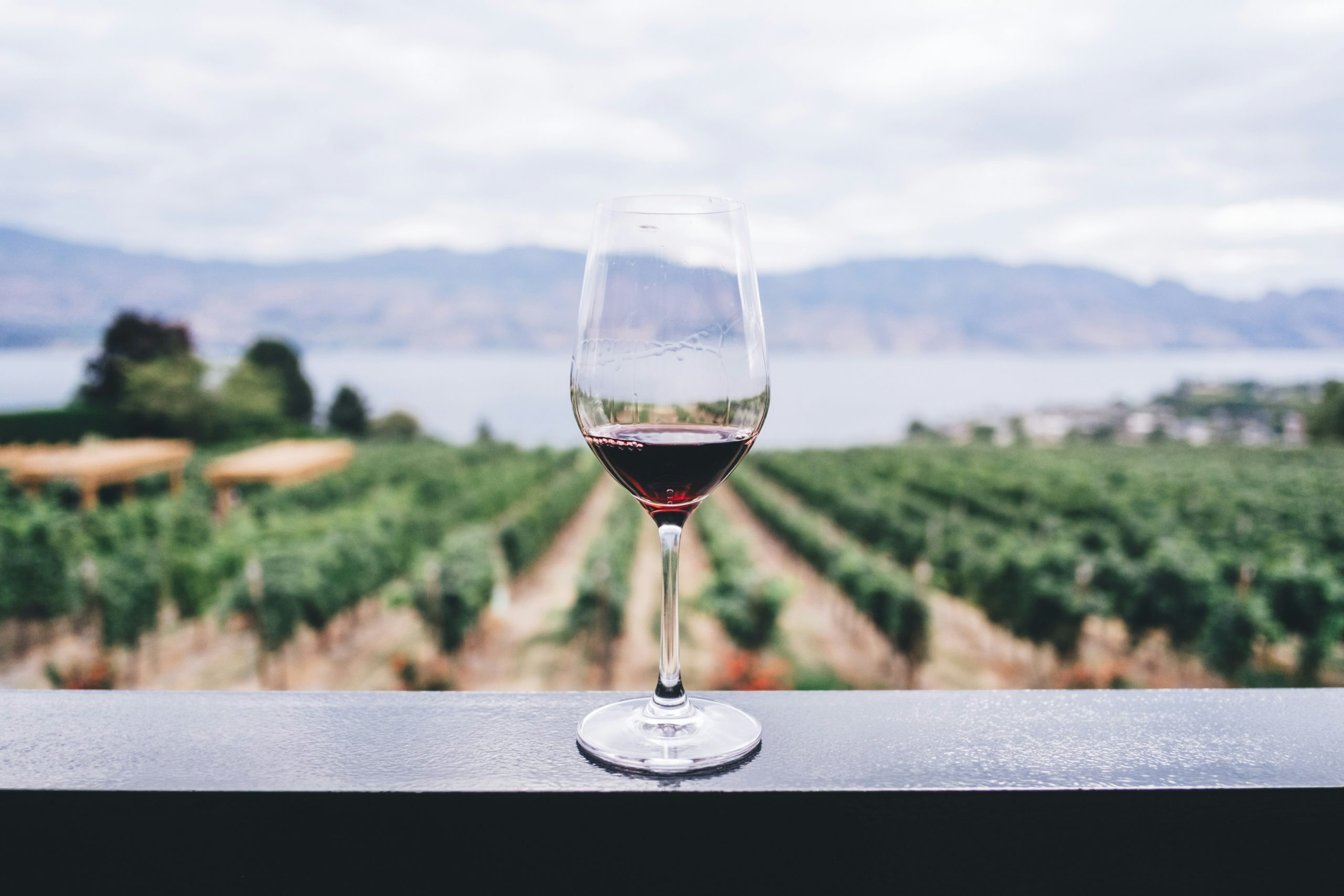 Rogue Valley Winery