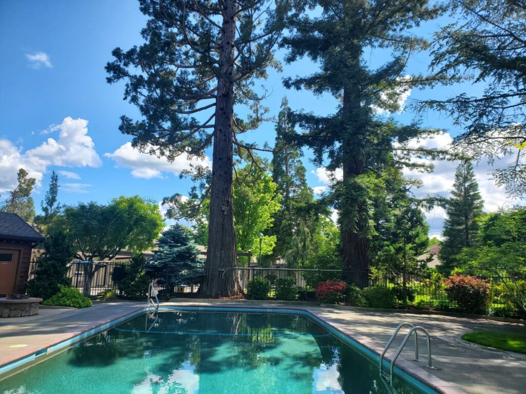 Redwood Garden Inn