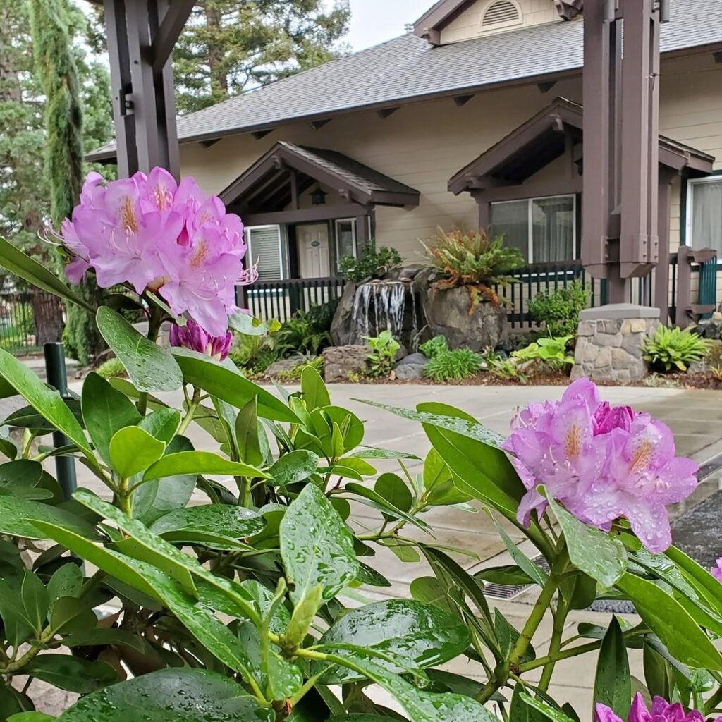 Redwood Garden Inn