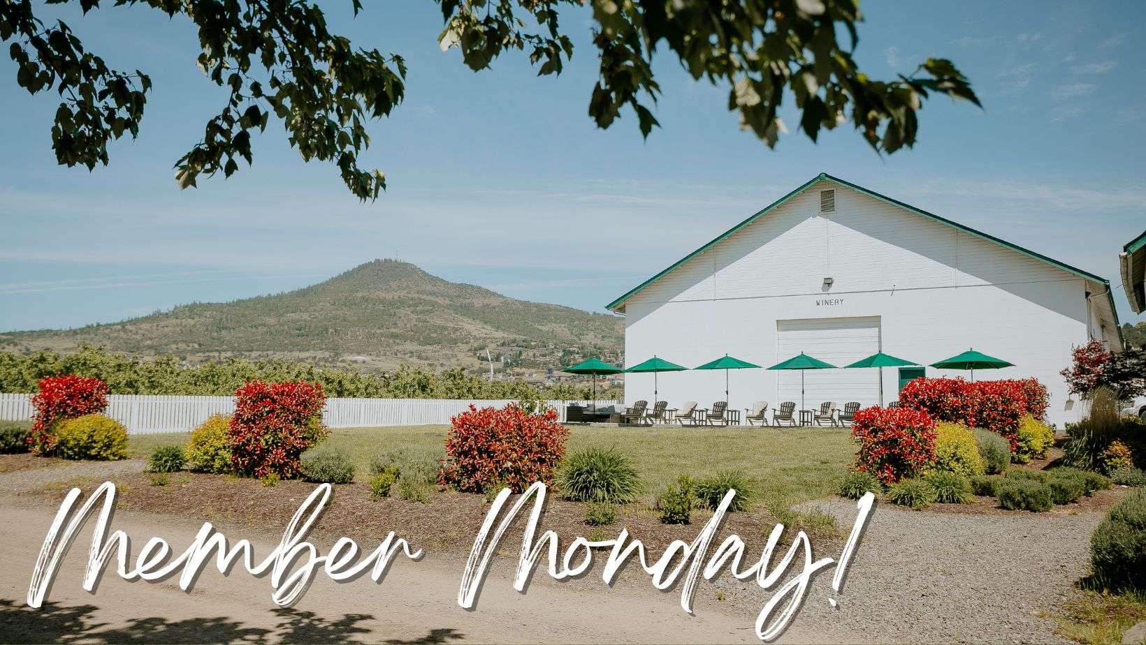 Member Monday (still open to the public!)