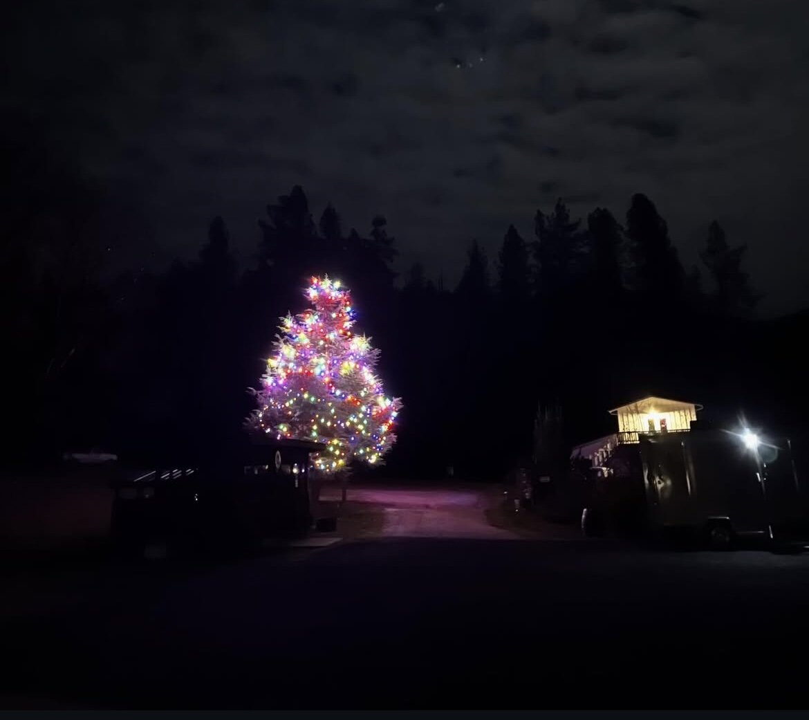 Annual Tree Lighting