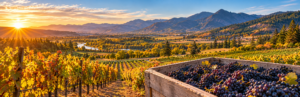 Harvest Time in the Rogue Valley